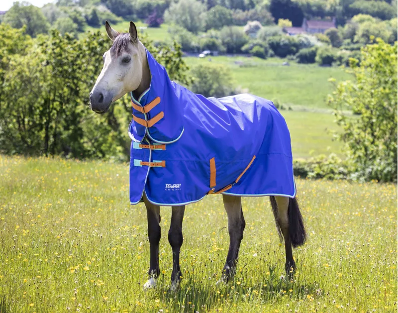 Shires Tempest Original 50g Combo Turnout Rug in Royal
